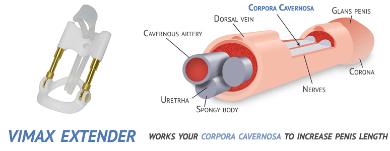 Vimax Extender Singapore - Image 3