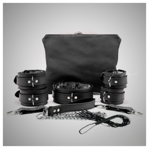 Dicktator Bondage Kit With Bag