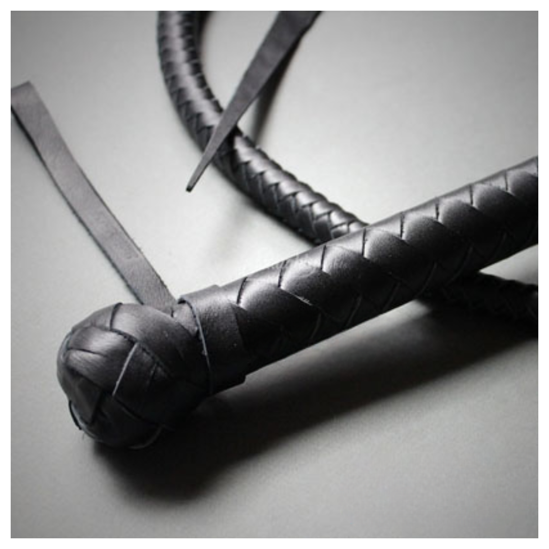 Big Daddy BDSM Whip - Image 3